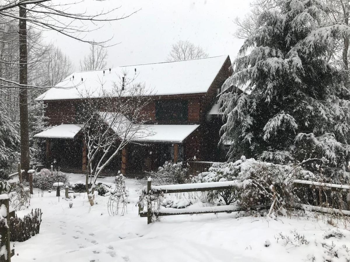 Lazy Bear Lodge Valle Crucis Εξωτερικό φωτογραφία