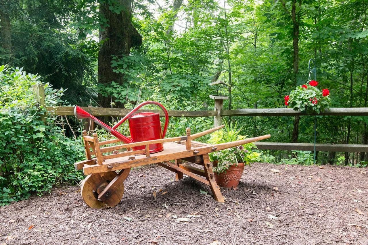 Lazy Bear Lodge Valle Crucis Εξωτερικό φωτογραφία